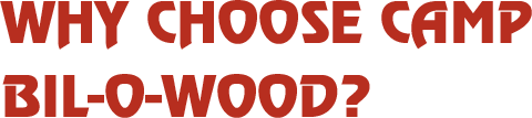 Why Choose Bil-O-Wood